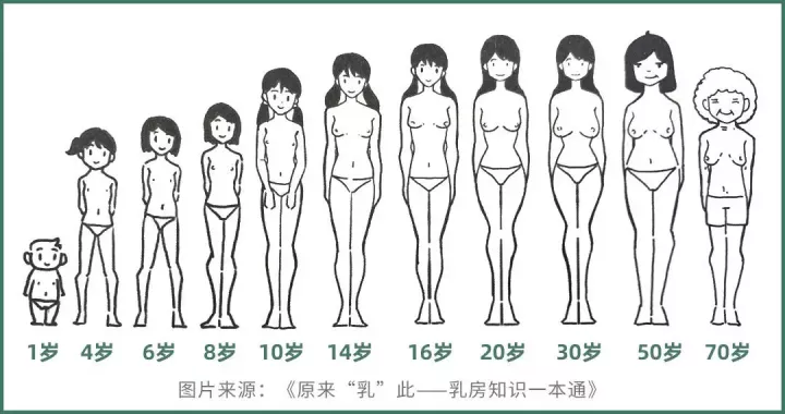 五花八门的丰胸方法,到底哪种更靠谱?如何科学丰胸?