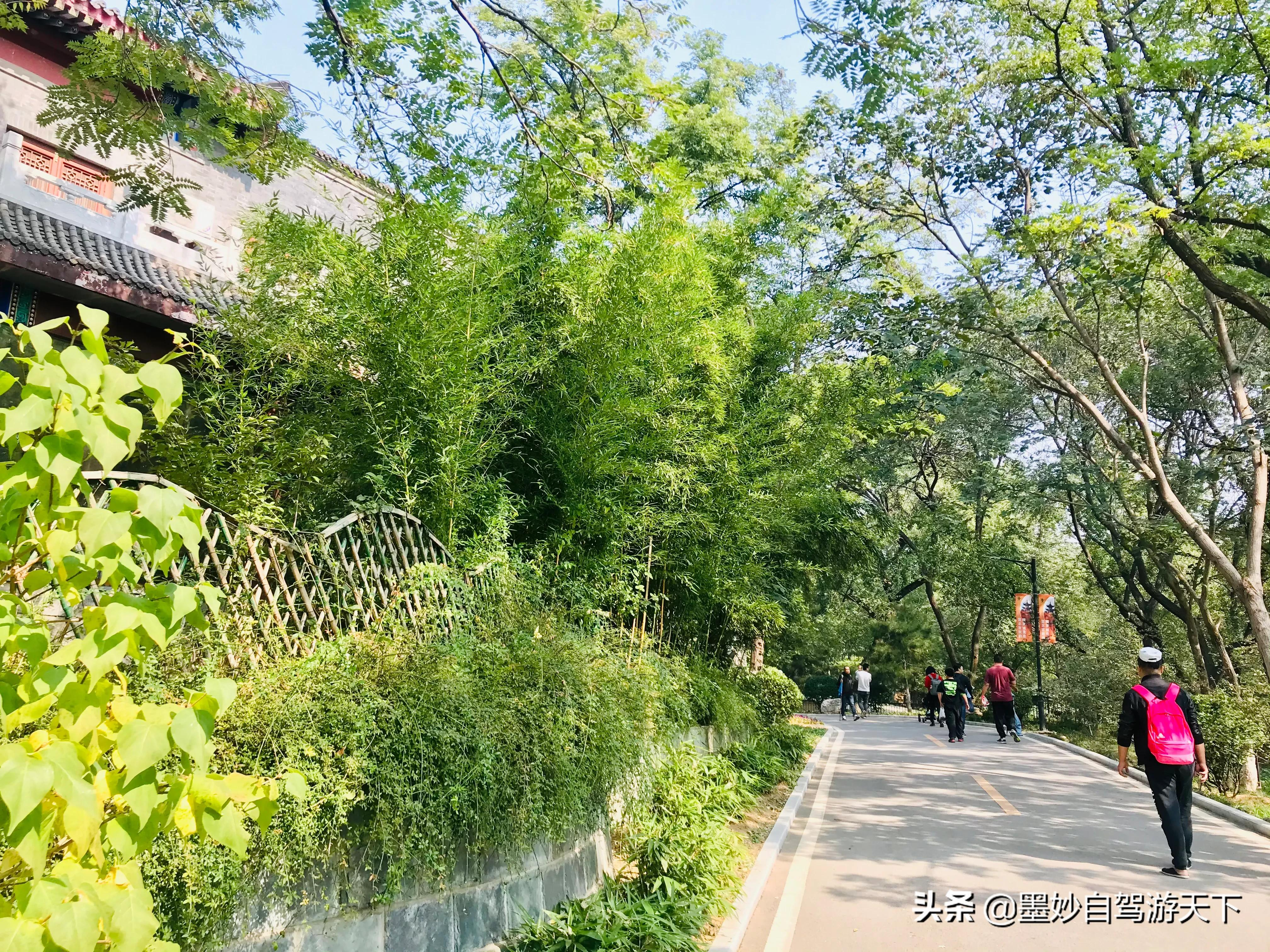 不出京城到江南｜北京市内交通便利的森林公园，端午洗肺好去处