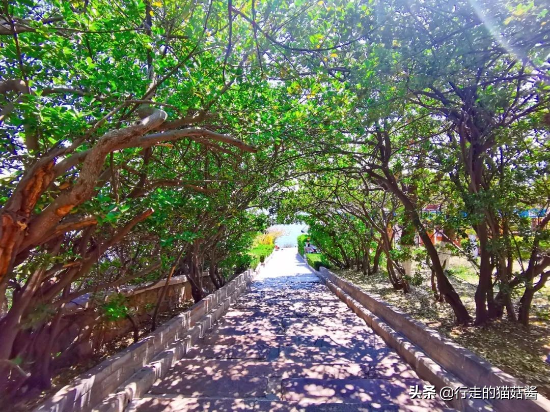 烟台山不得不看的外国领事馆旧址，是中国近代史的见证与缩影