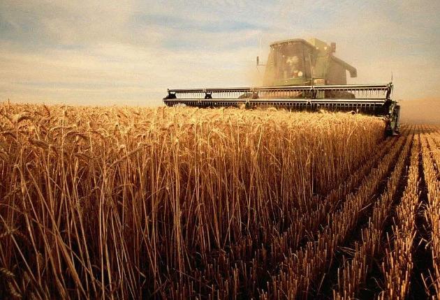 农业合作社自产自销产品会计核算与免缴增值税