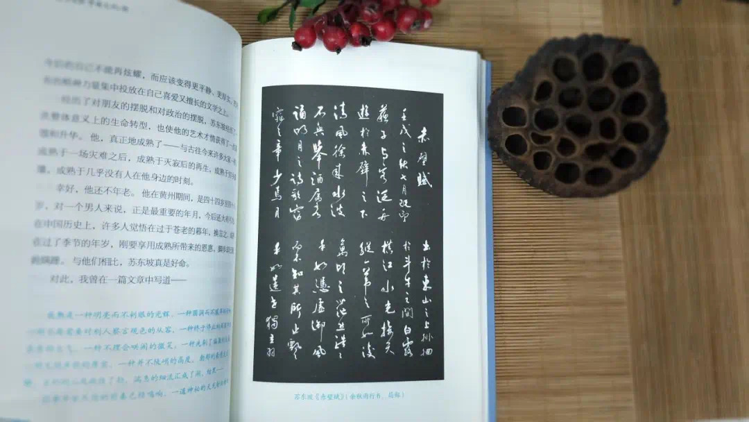 一篇高考满分作文，他被破格录取改变命运，接触中国文化越早越好