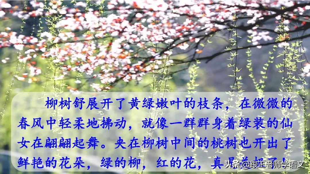 部编语文三年级下册课文2、燕子（朗读+知识点+图解）