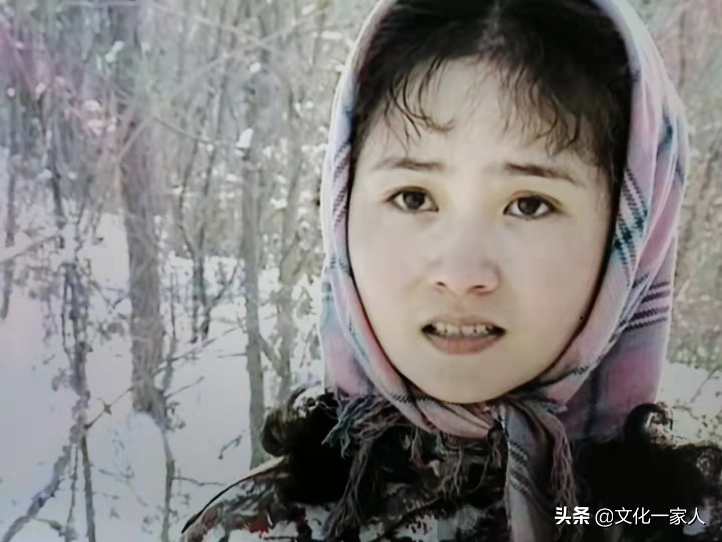 七嫂——世上最美的女人