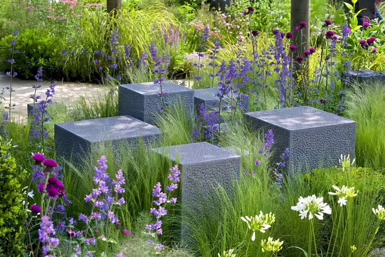 香蒲,旱伞……灌木:千层金,冬青,红花檵木,火焰南天竹,澳洲红朱蕉