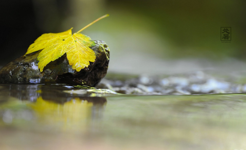 一说“处暑雨，粒粒皆是谷”，又说“下雨万人愁”，下雨好不好？