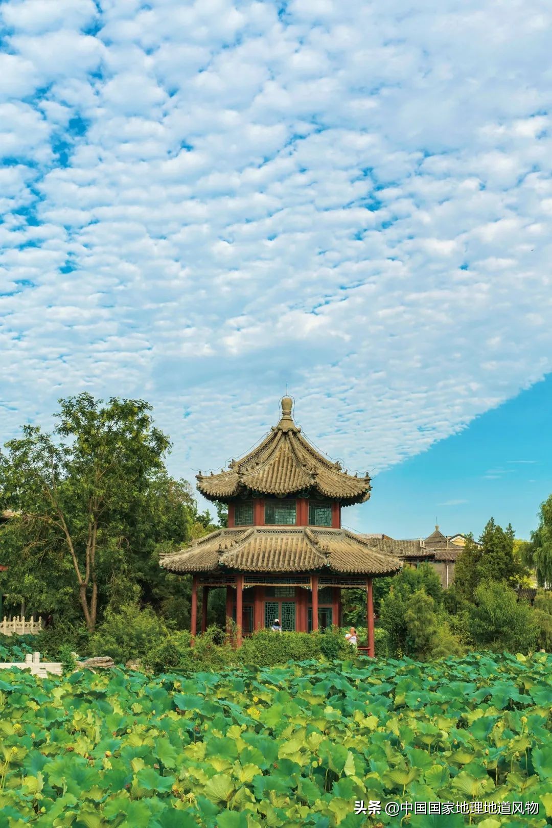 这座爱吃“驴火”的城市，究竟出了多少冠军？