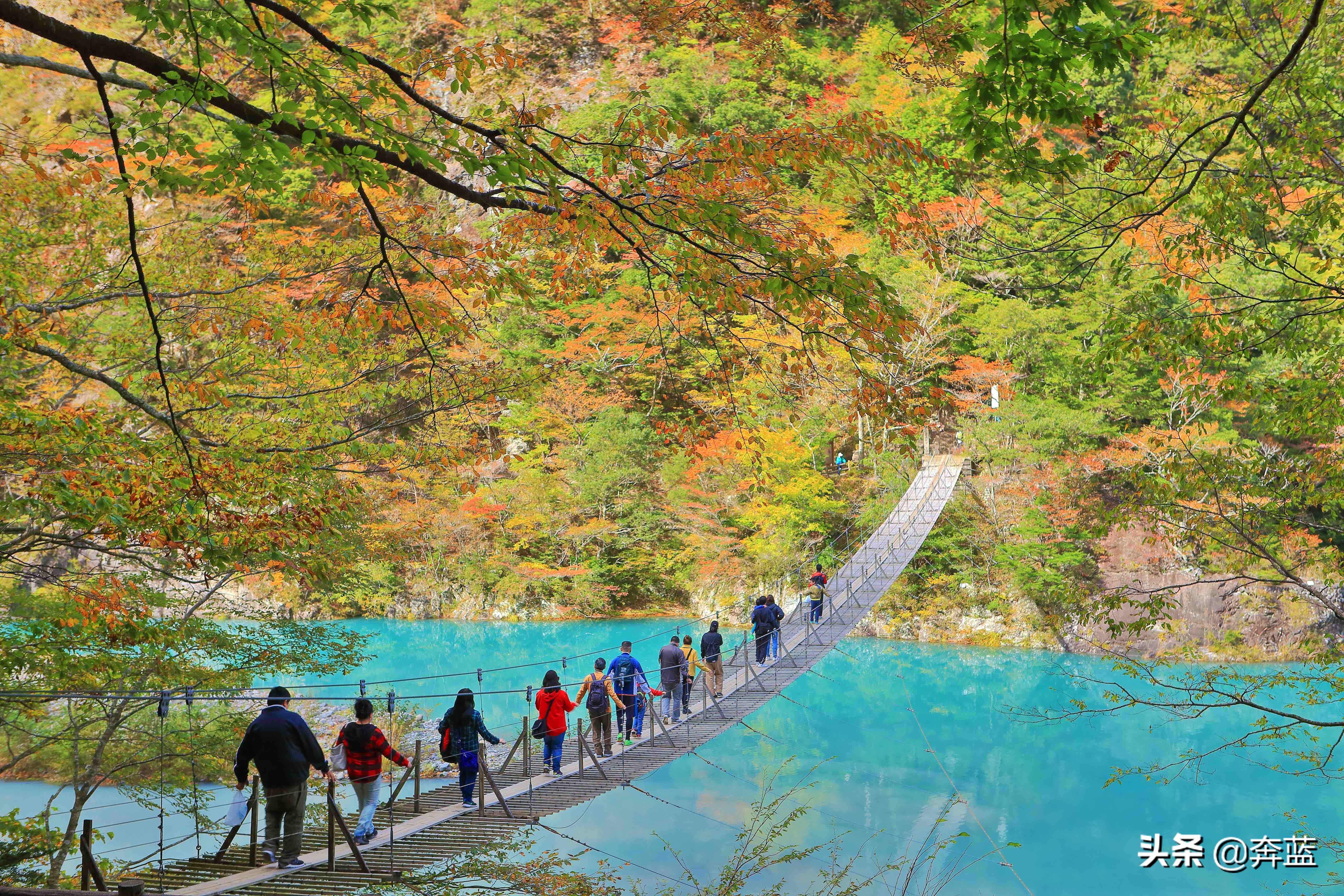 日本本州岛旅游景点：香岚溪、梦之吊桥、富士山、五重塔、樱花