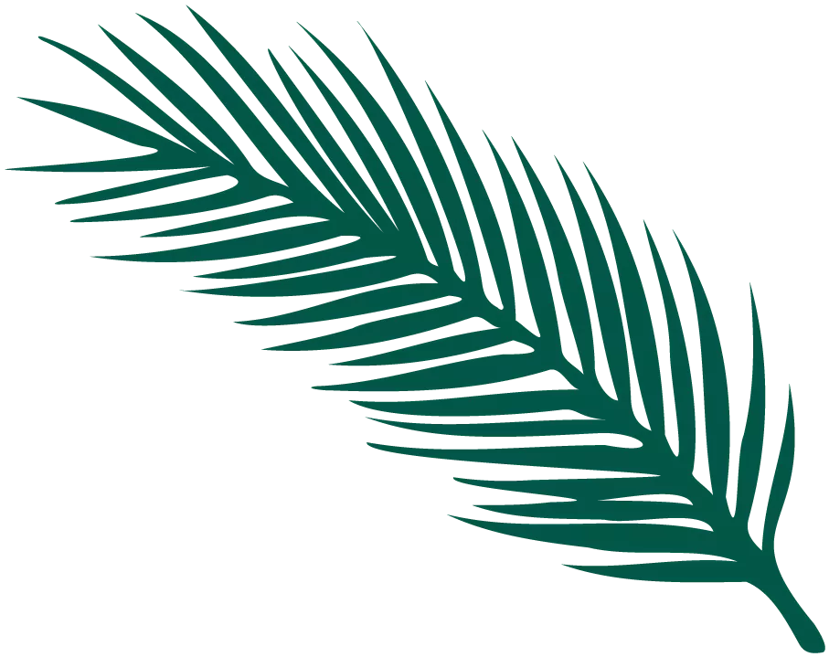 金职喊你免费吃鱼啦