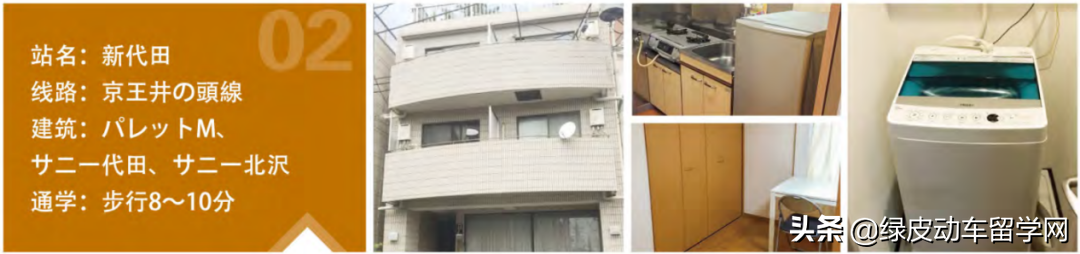 日本语言学校评测——被忽略的宝藏，太阳树日本语学校