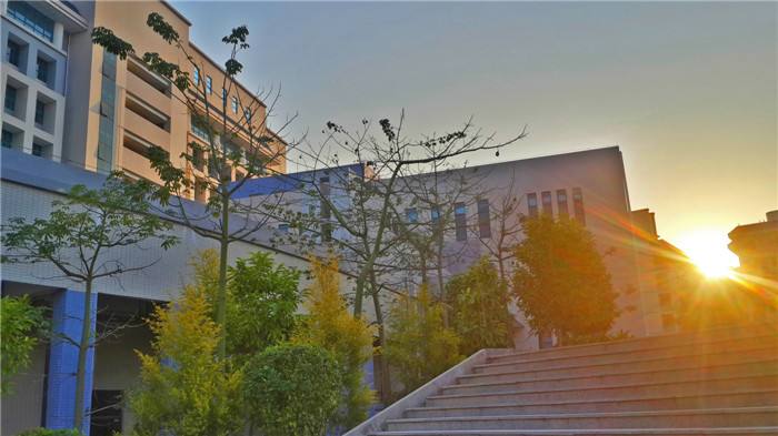 高职高考必看｜全面了解惠州工程职业学院