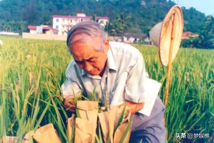 国际粮食危机了，中国人该担心吗？四大粮商围堵与中国的自救