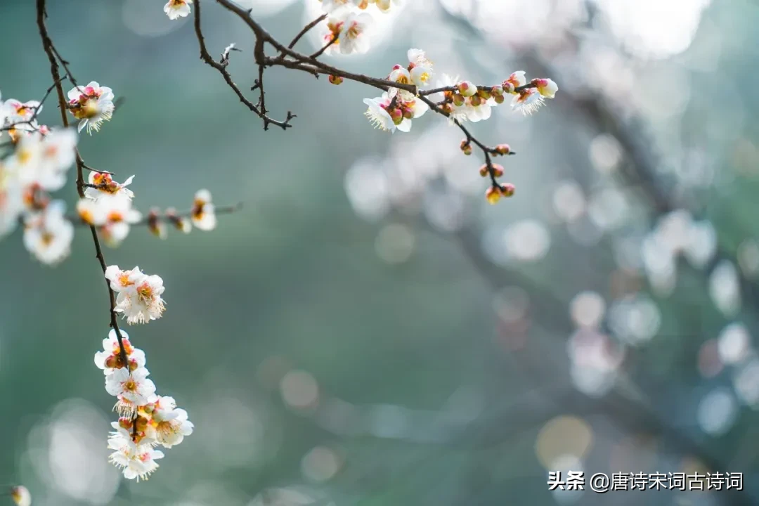 暮春来，初夏到！20首暮春诗词，告别最美春天