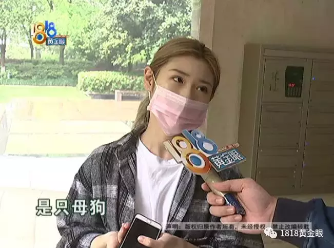 买了公狗收到母狗,卖家说这是“缘分”?
