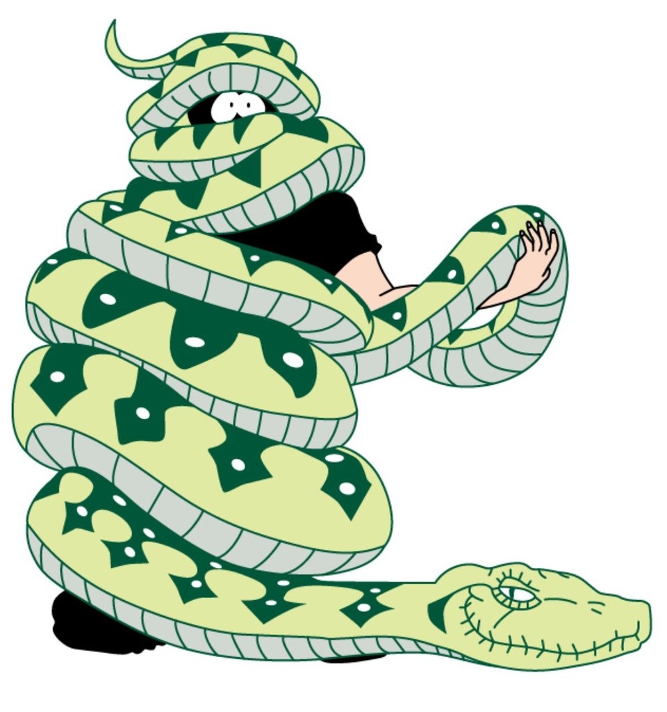 活人被蟒蛇吞下还能活命吗?动物学家亲自实验