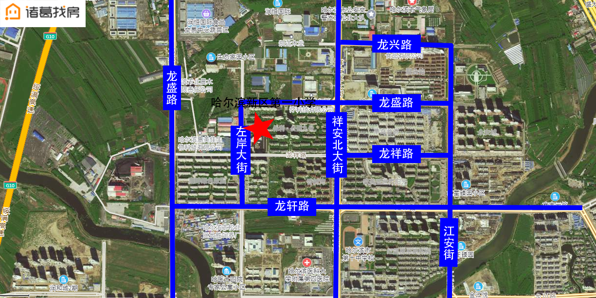 来了！松北区公办小学学区范围出炉！这里的学区房价格是这样的