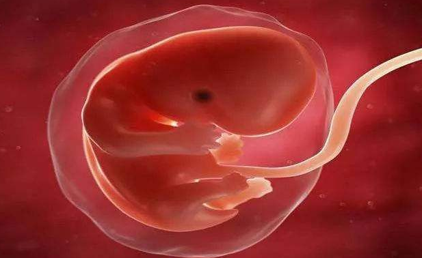 1)胎儿发育怀孕一个月胎儿和妈妈有什么变化?