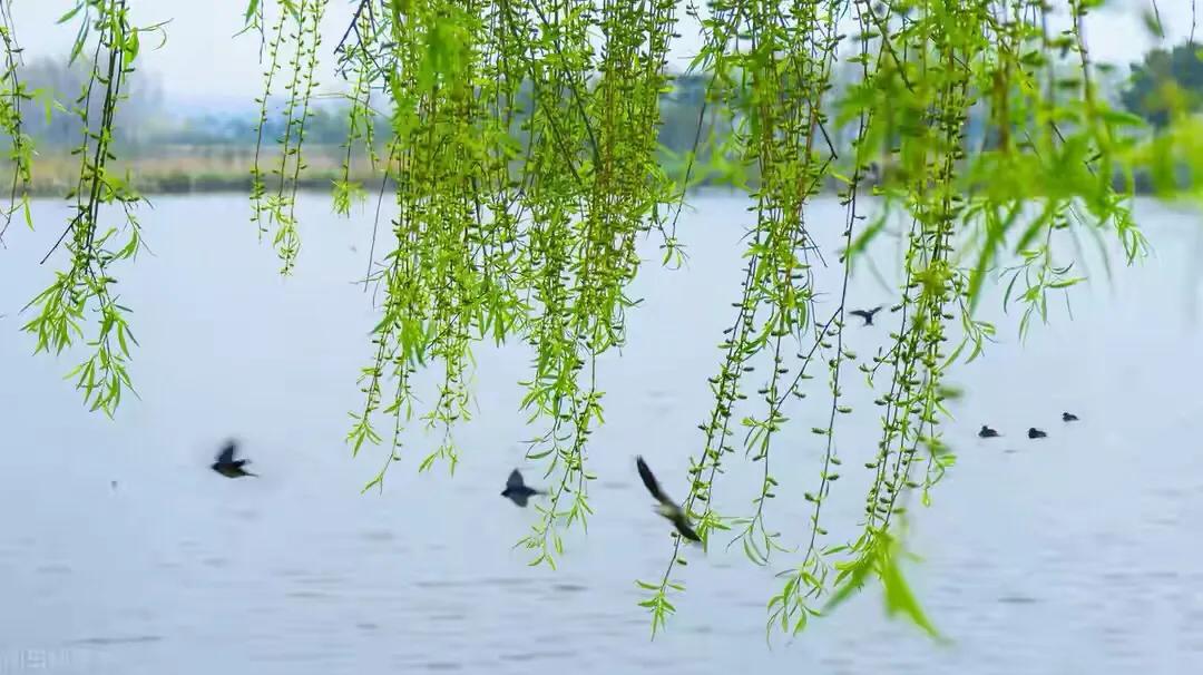 散文：雨后的彩虹，莫负人间