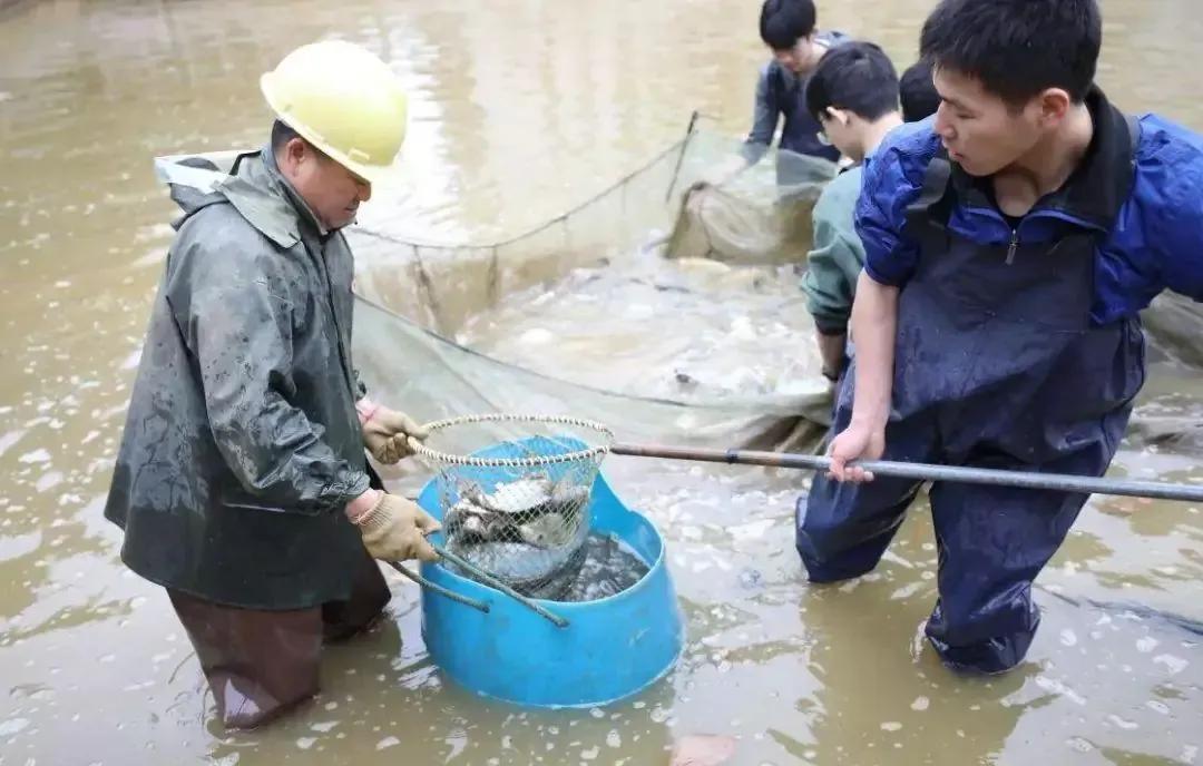 那些别人家的大学！真香！看看你的大学榜上有名吗？