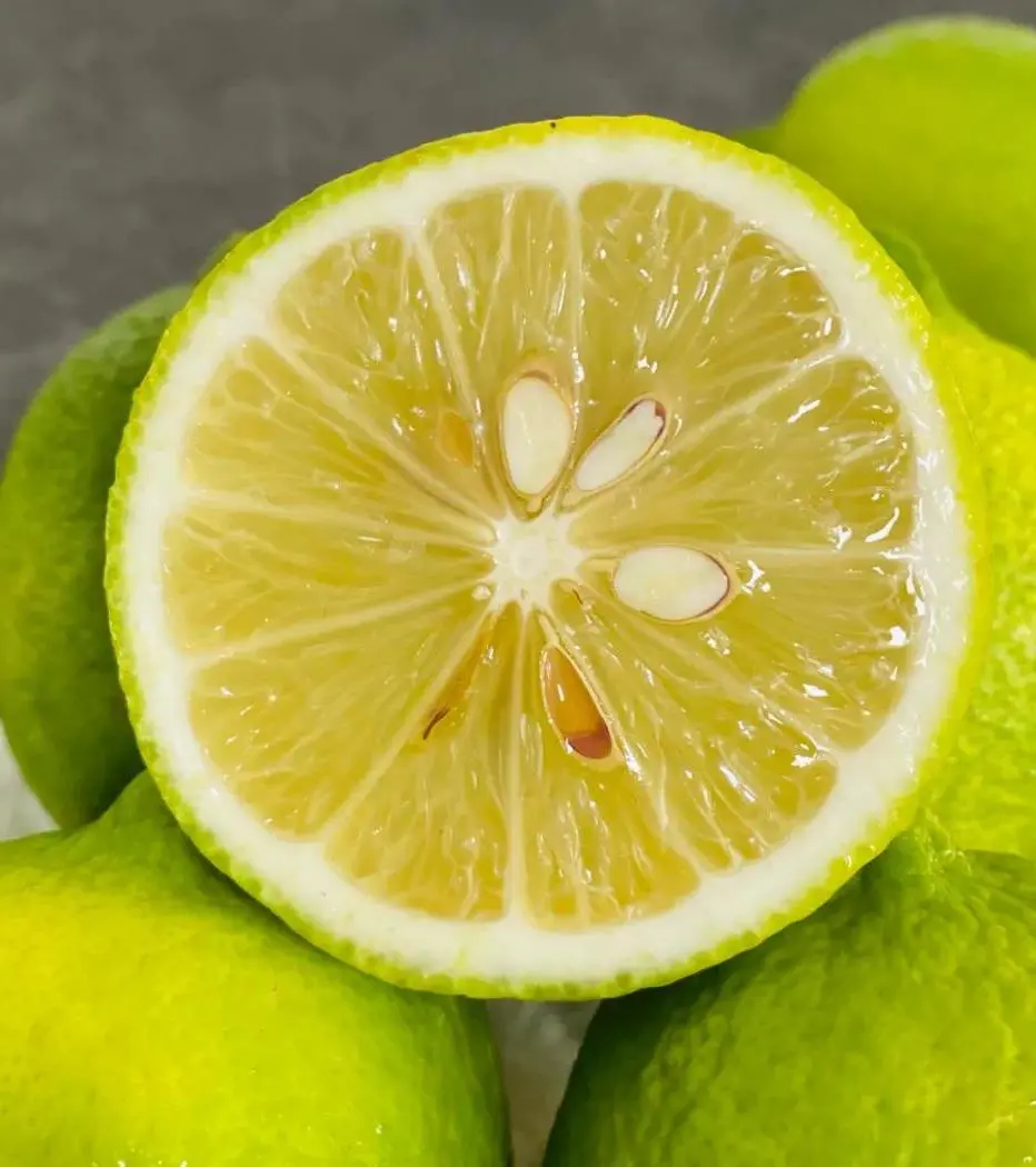 辰颐物语尤力克青柠檬酸爽爆汁vc爆棚的美颜神器