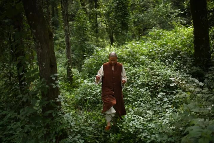 中国最文艺尼姑庵，不烧香只种花，美得想出家！韩红也慕名来参访
