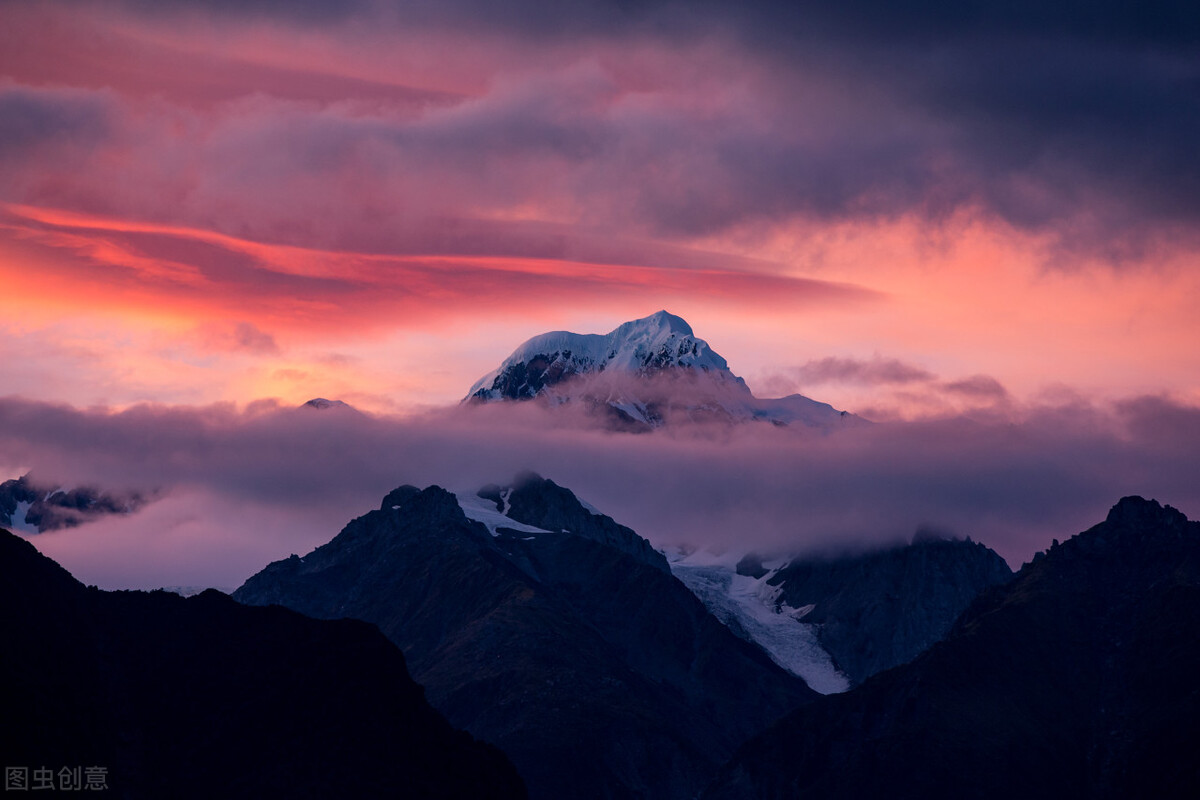 追赶花期，放飞自我