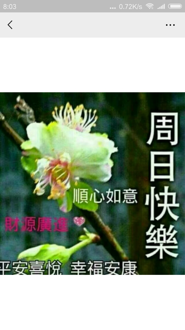 周日7.21灯谜，8000仆闻之，六旗广开低，11笔字二