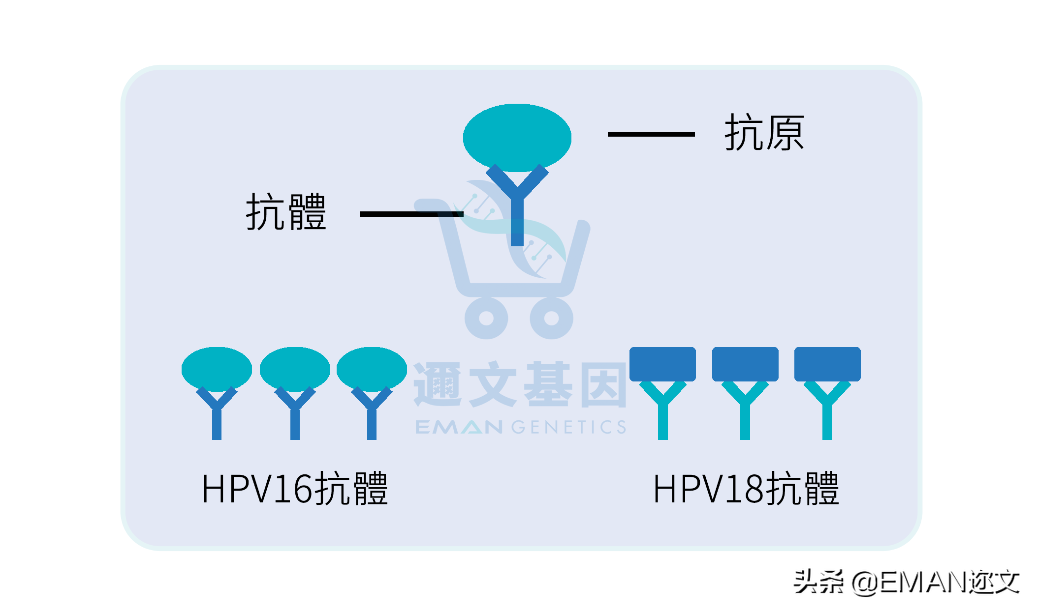 为什么打完HPV疫苗要做抗体检测？