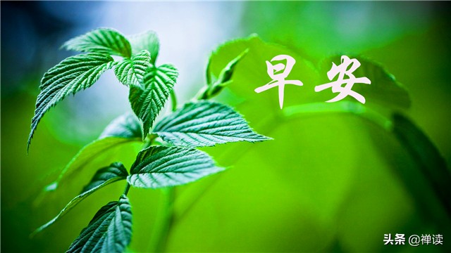 早安心语：人生没有一帆风顺，只有披荆斩棘才能路路顺