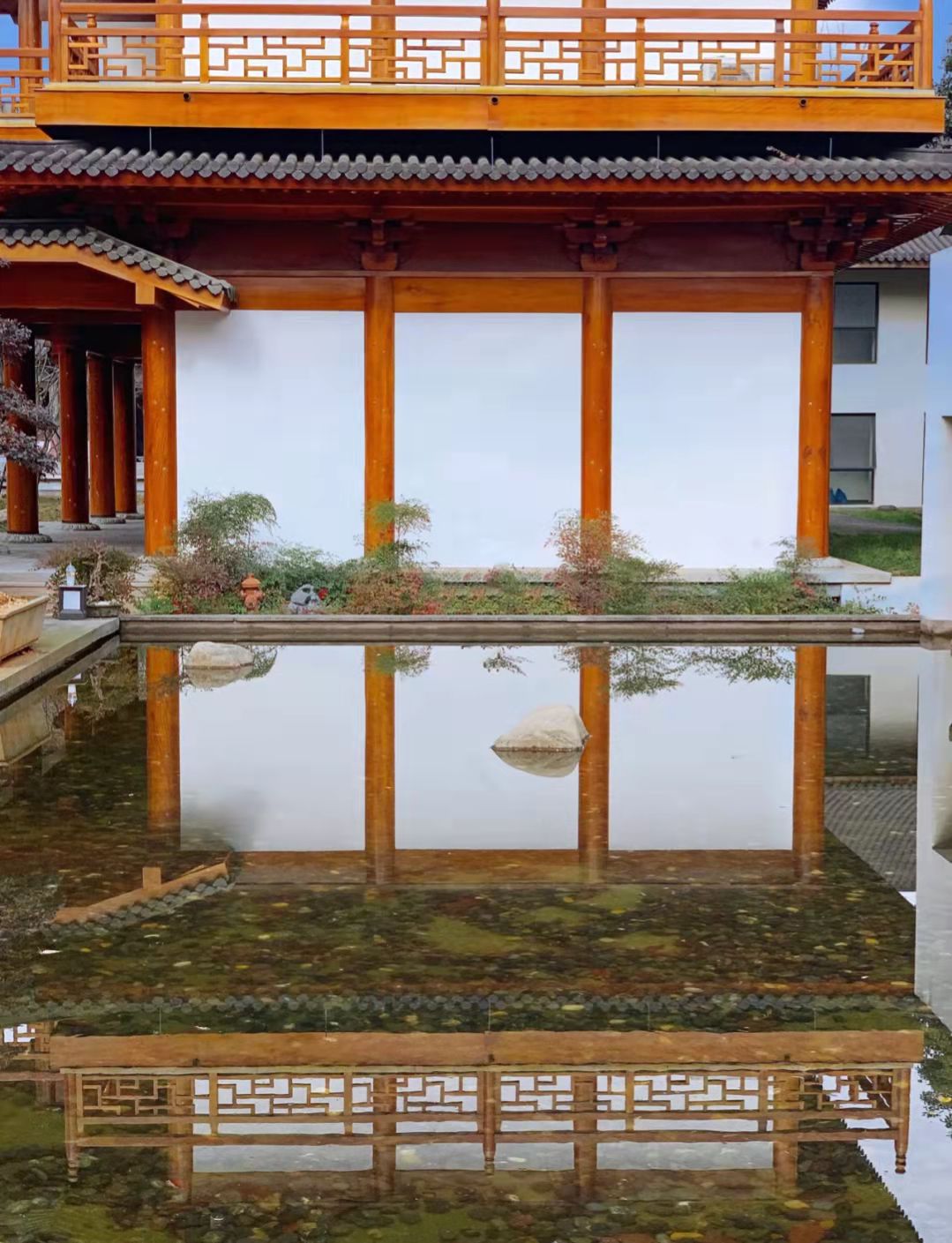 宁波秋游，这三个秋日限定的小“网红”景点，提前收藏码住