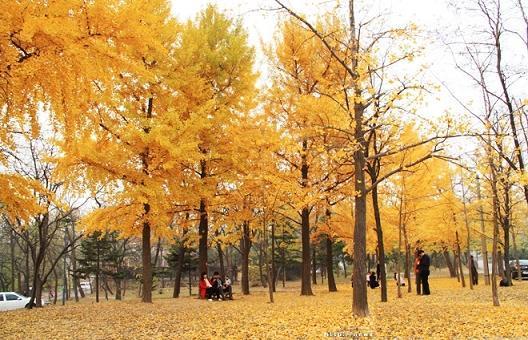 文凭另种“含金量”：民办高校学费到底比公办高校高多少？