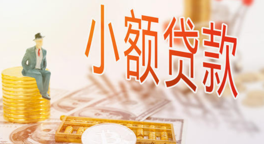 「小额贷款公司」小额贷款公司管理办法详解（设立对发起股东的纳税要求有什么区别）