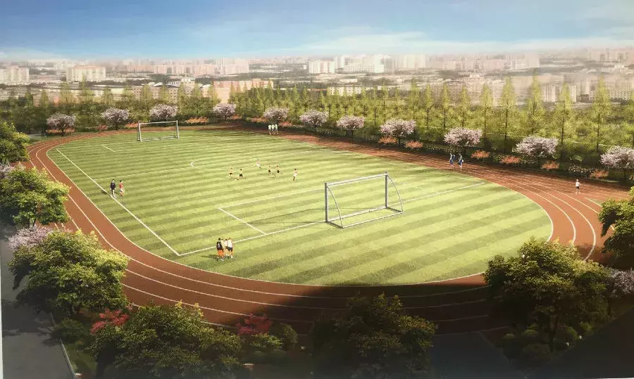 关注小升初 | 合肥行知学校重要信息汇总（附三年指标情况）