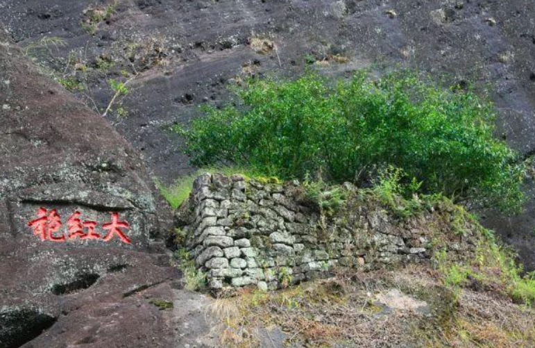 中国十大名茶是如何选出来的？黄山毛峰第三，西湖龙井第八？