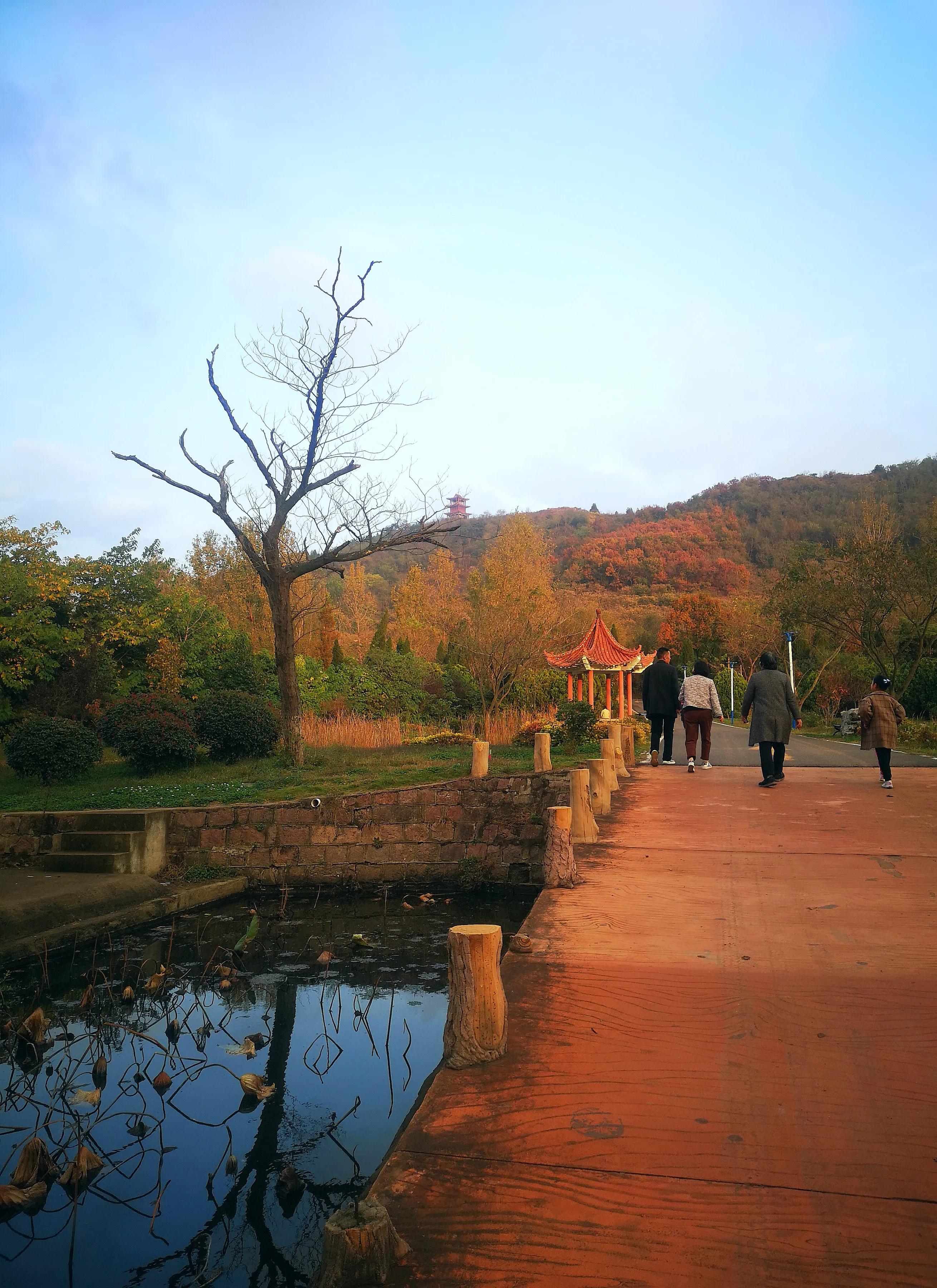 手拍世界（手机摄影平台）-群员作品集（总第733期）