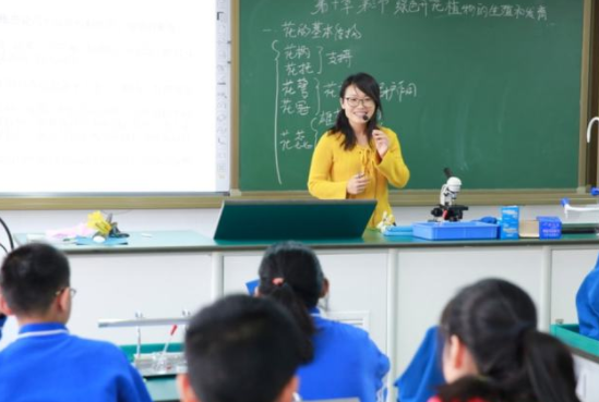 多地中小学现“教师荒”，系统却显示已经超编，在编老师都去哪了