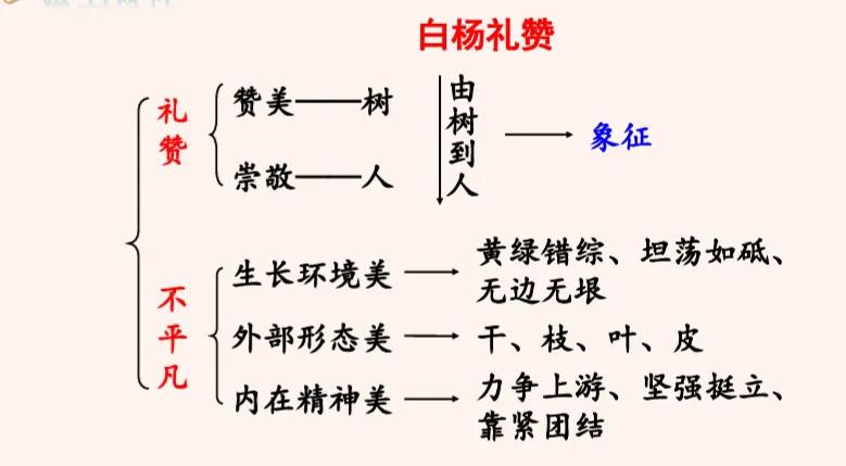 八年级语文上册十五课《白杨礼赞》课文笔记，自主预习的好帮手