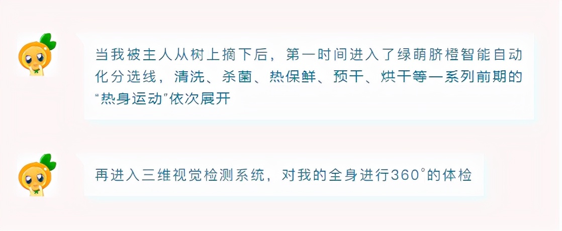 從2人管理的果園中摘下的臍橙，是如何斬獲臍橙質量“金獎”的？