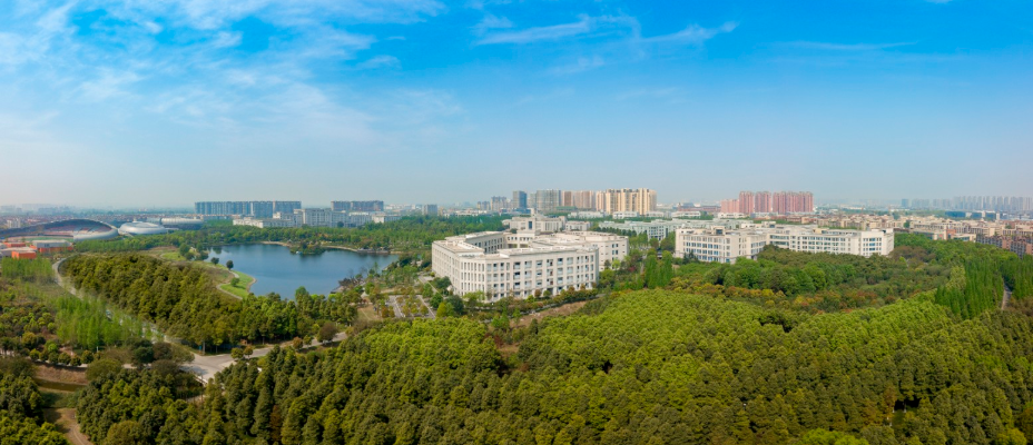 电子科技大学2017录取情况（注意）