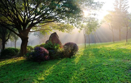 高考作文评分标准全解: 胸中已有丘壑，作文一路高歌