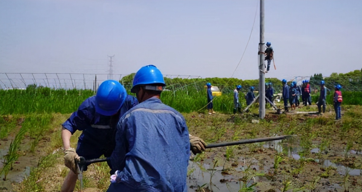 電線杆佔地一根補償多少_供電局栽電線杆佔用農民耕地_電纜頭條網