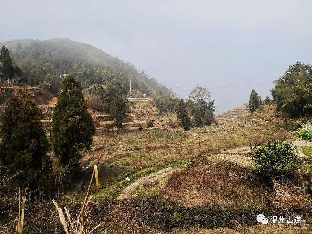 平阳麻步吧（平阳麻步沿口七星山古道环线穿越风景如画）