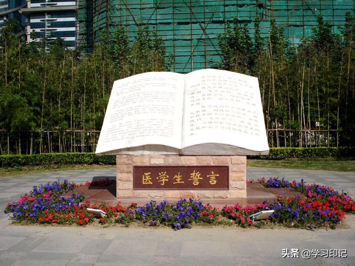 高校临床实力排名出炉，上海交大位居榜首，北京协和排名第6