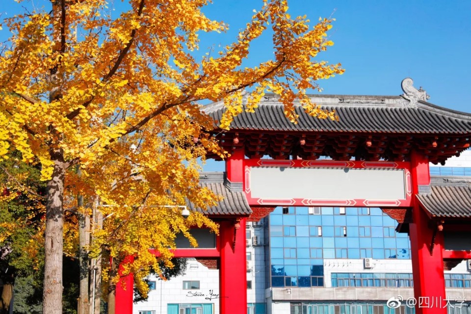 四川大学2019年保送生招生简章