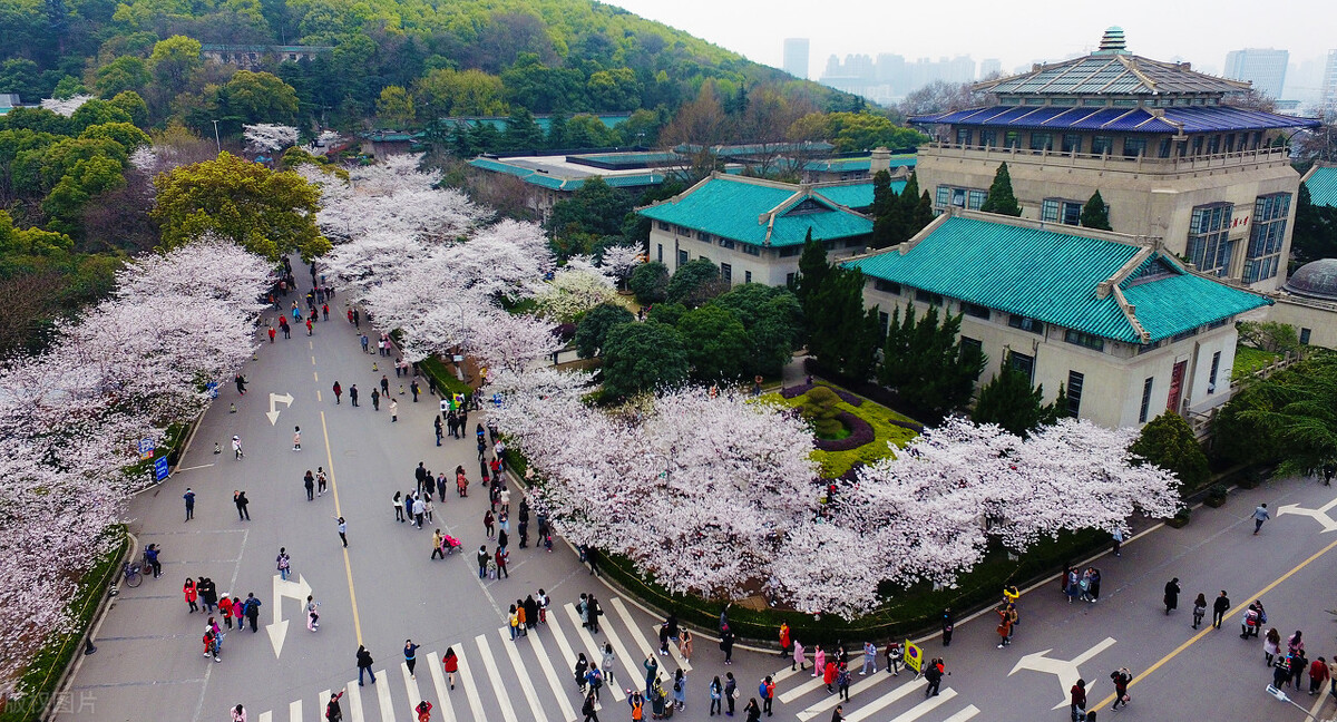 武汉纺织大学是985还是211（七所很推荐的武汉大学）