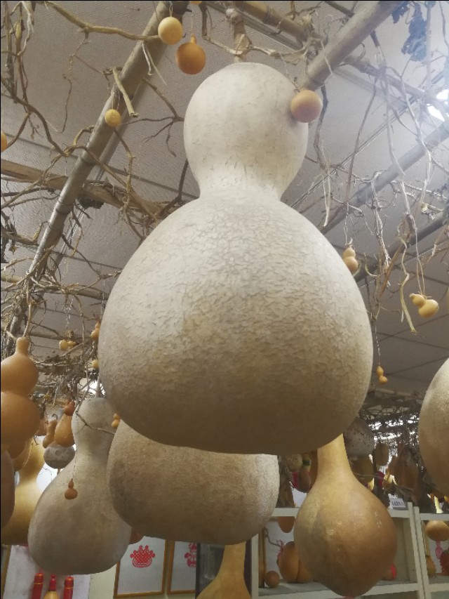 看似寻常的葫芦蕴含哪些大智慧  朴素的葫芦里又藏着哪些人间大美