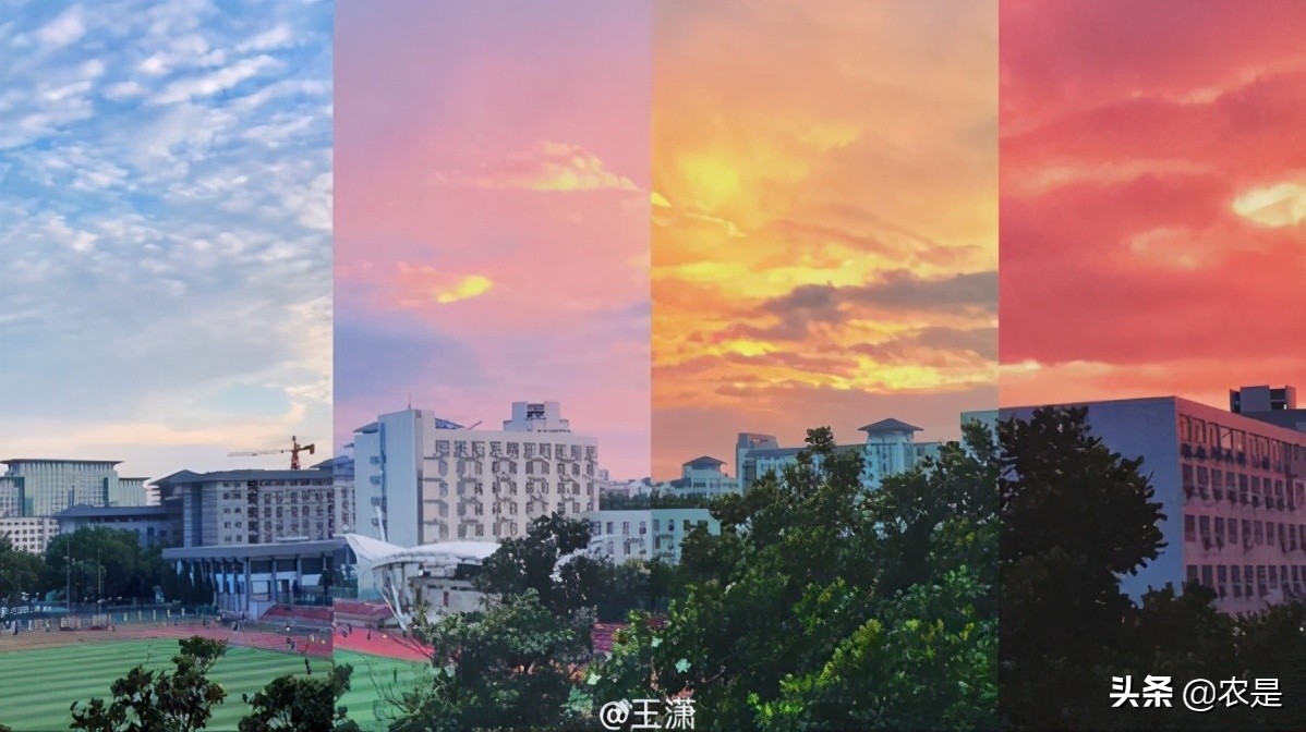 冯春刚，南京农业大学，教授、博导，动物遗传育种专家