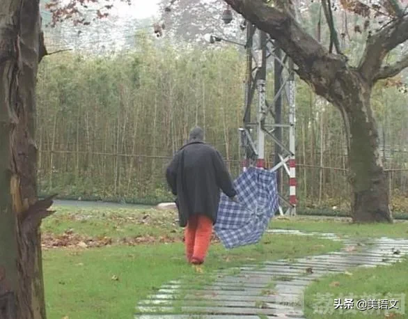 雨中即景作文500字五年级(小学优秀满分范文)-小学作文-电子课本网 雨中即景作文500字五年级(小学优秀满分范文)-小学作文