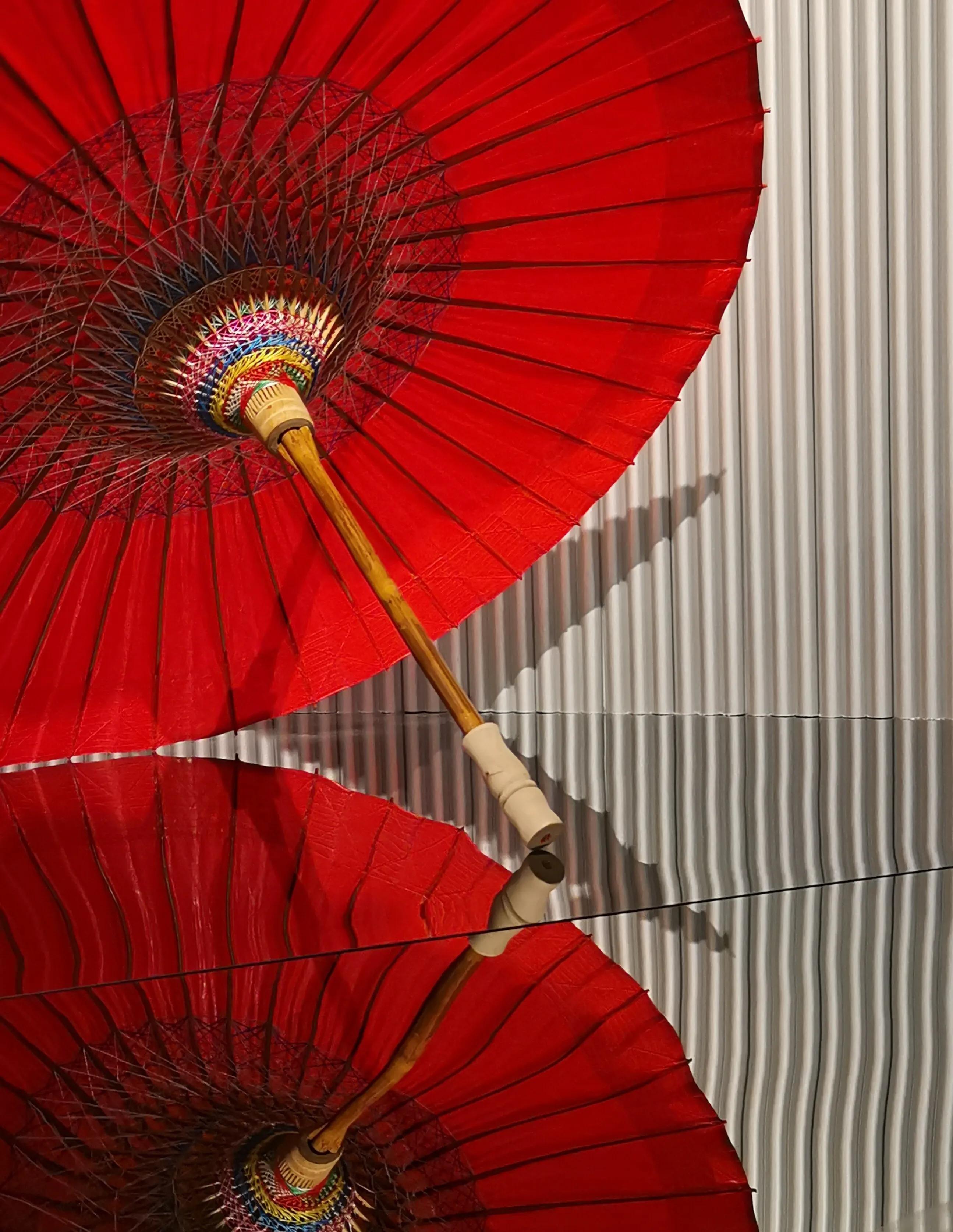 手拍世界（手机摄影平台）-群员作品集（总第733期）