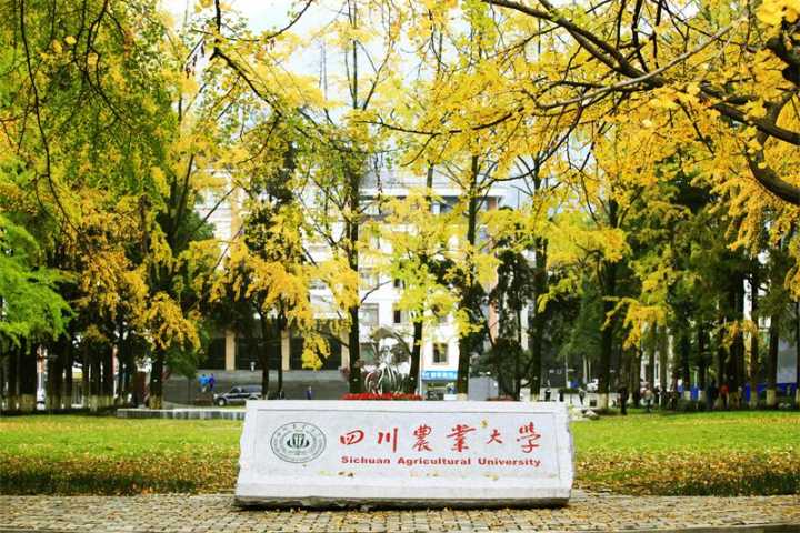 四川录取分数最“亲民”的211大学，在校生还有两次转专业机会