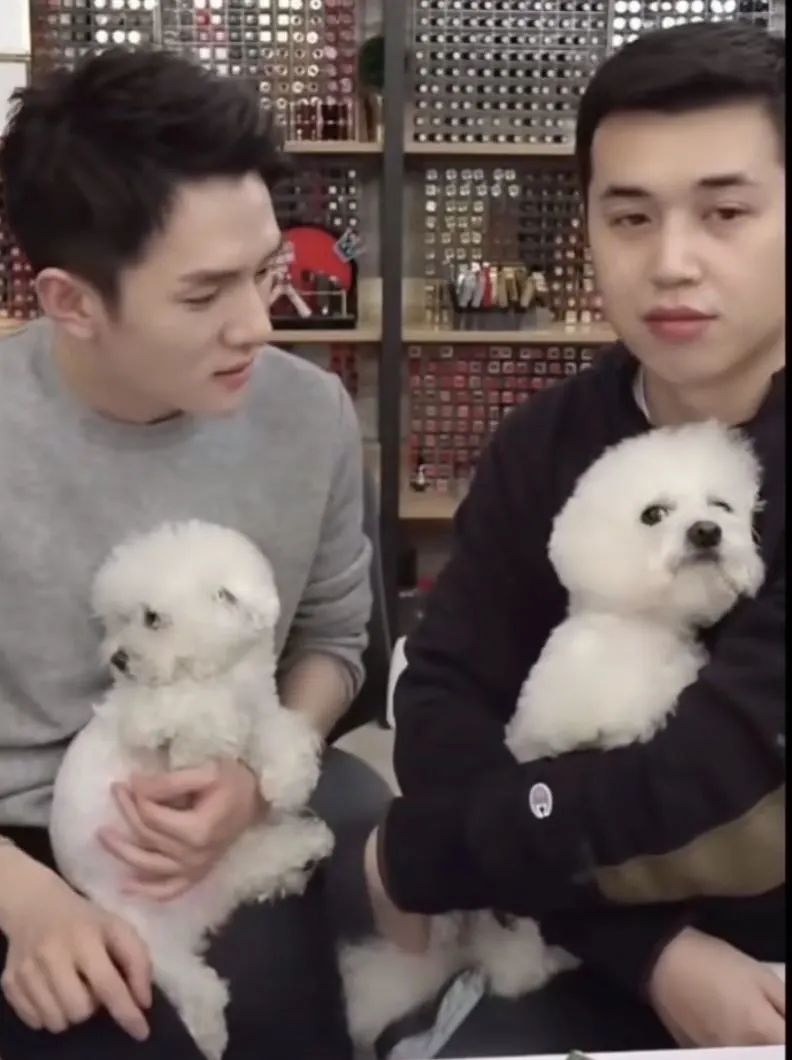 完美日记5000万带货王∶居然是李佳琦的狗？